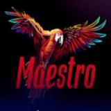 Maestro