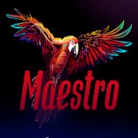 Maestro